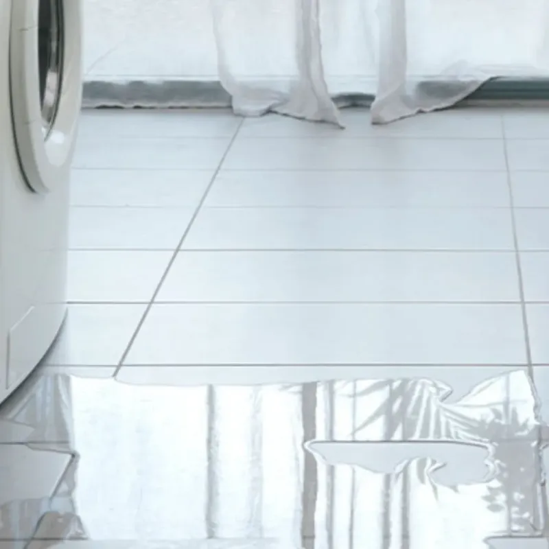 Appliance Leak Cleanup in Woodville, FL