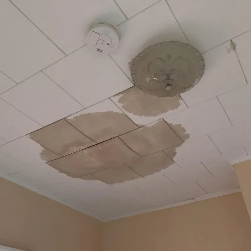 Ceiling Water Damage Repair in Woodville, FL