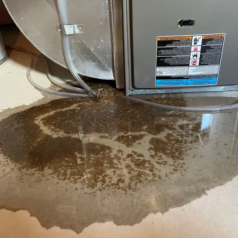 Pipe Burst and Leak Restoration in Woodville, FL
