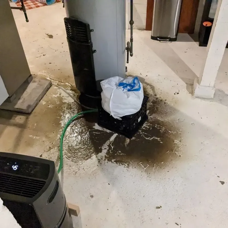Sewage Backup Cleanup Service in Woodville, FL